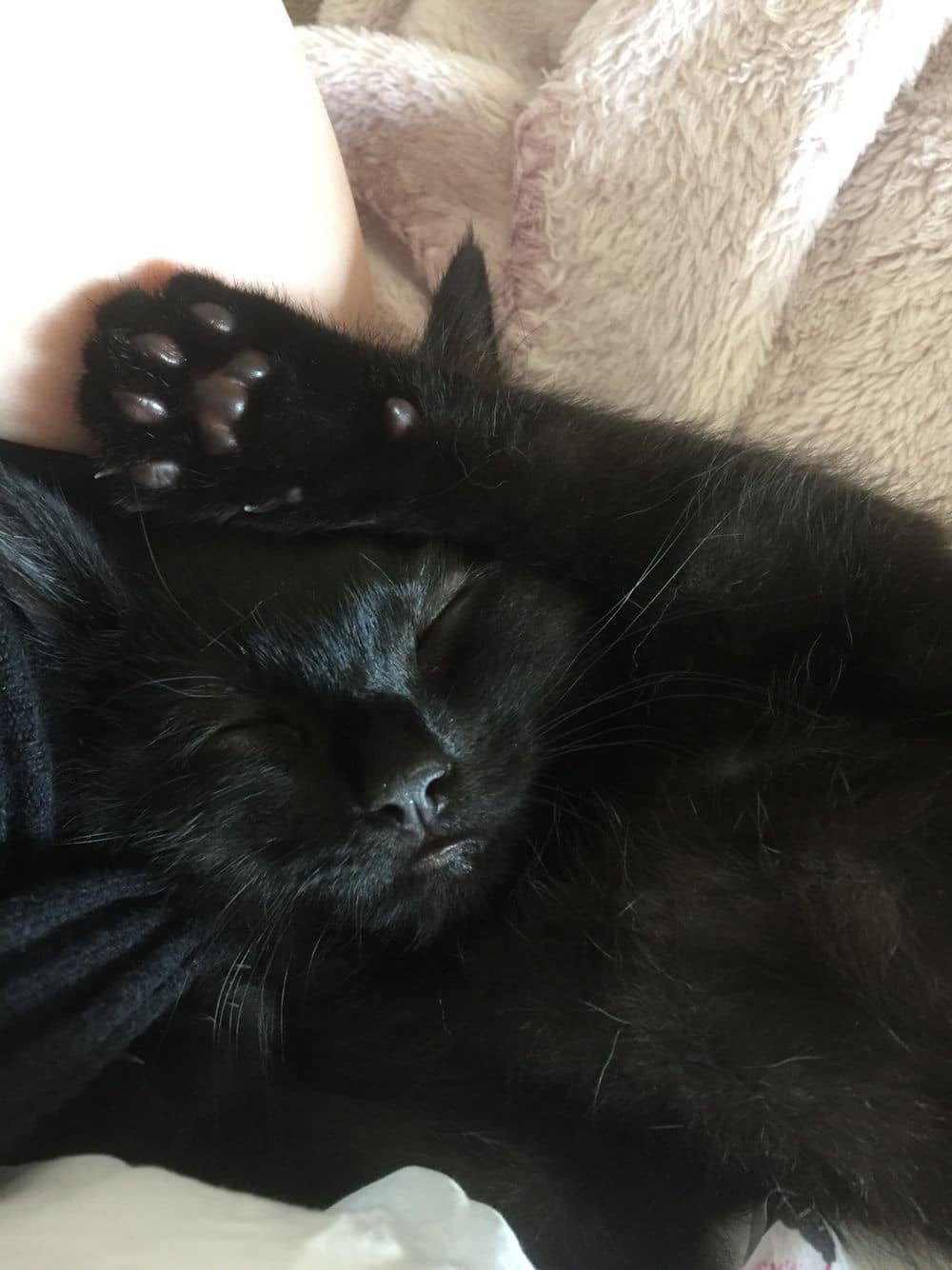 Imagine suplimentară